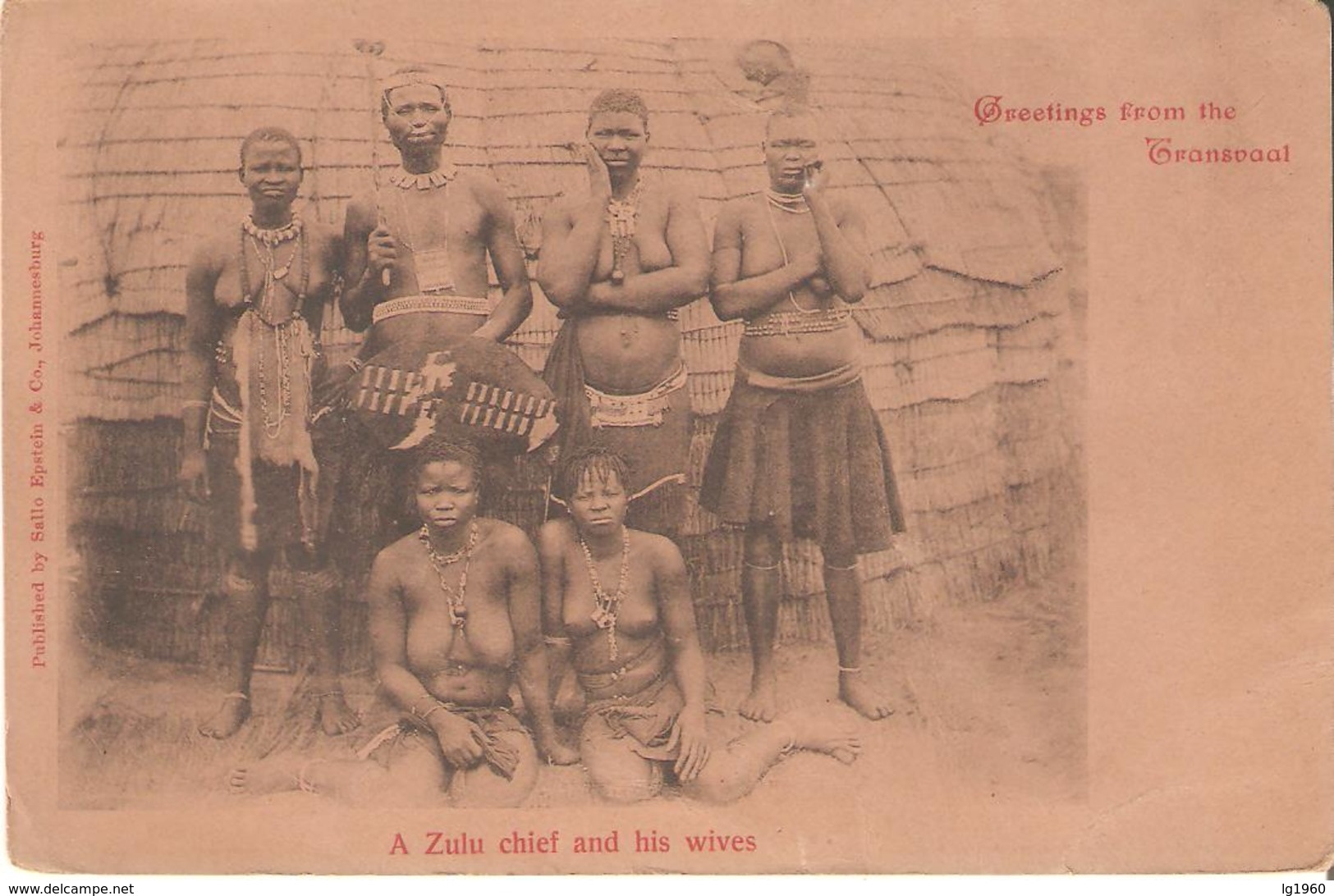 16) Greetings From The Transvaal - A Zulu Chief And His Wives - Afrique Du Sud