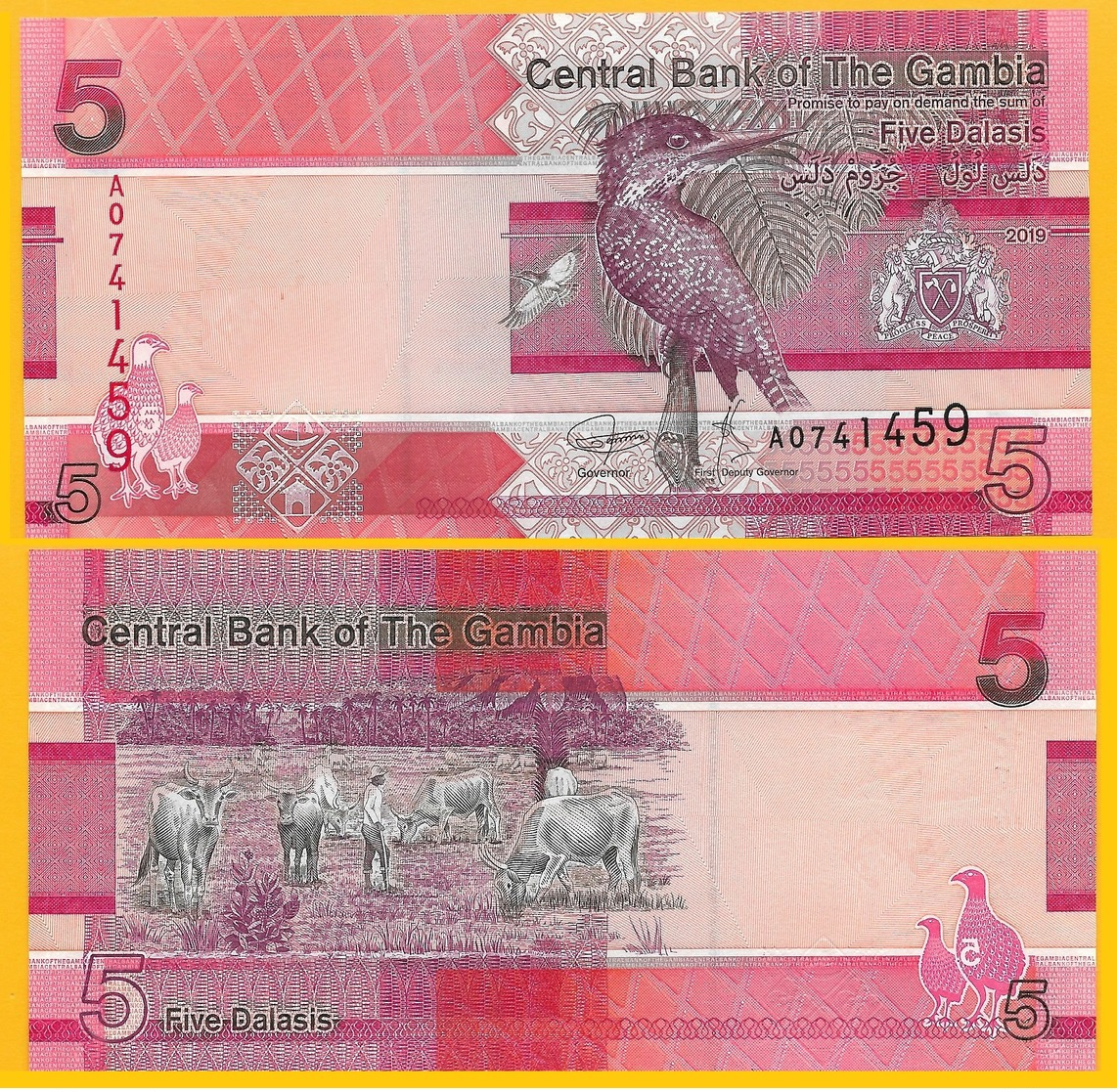 Gambia 5 Dalasis P-new 2019 UNC Banknote - Gambia