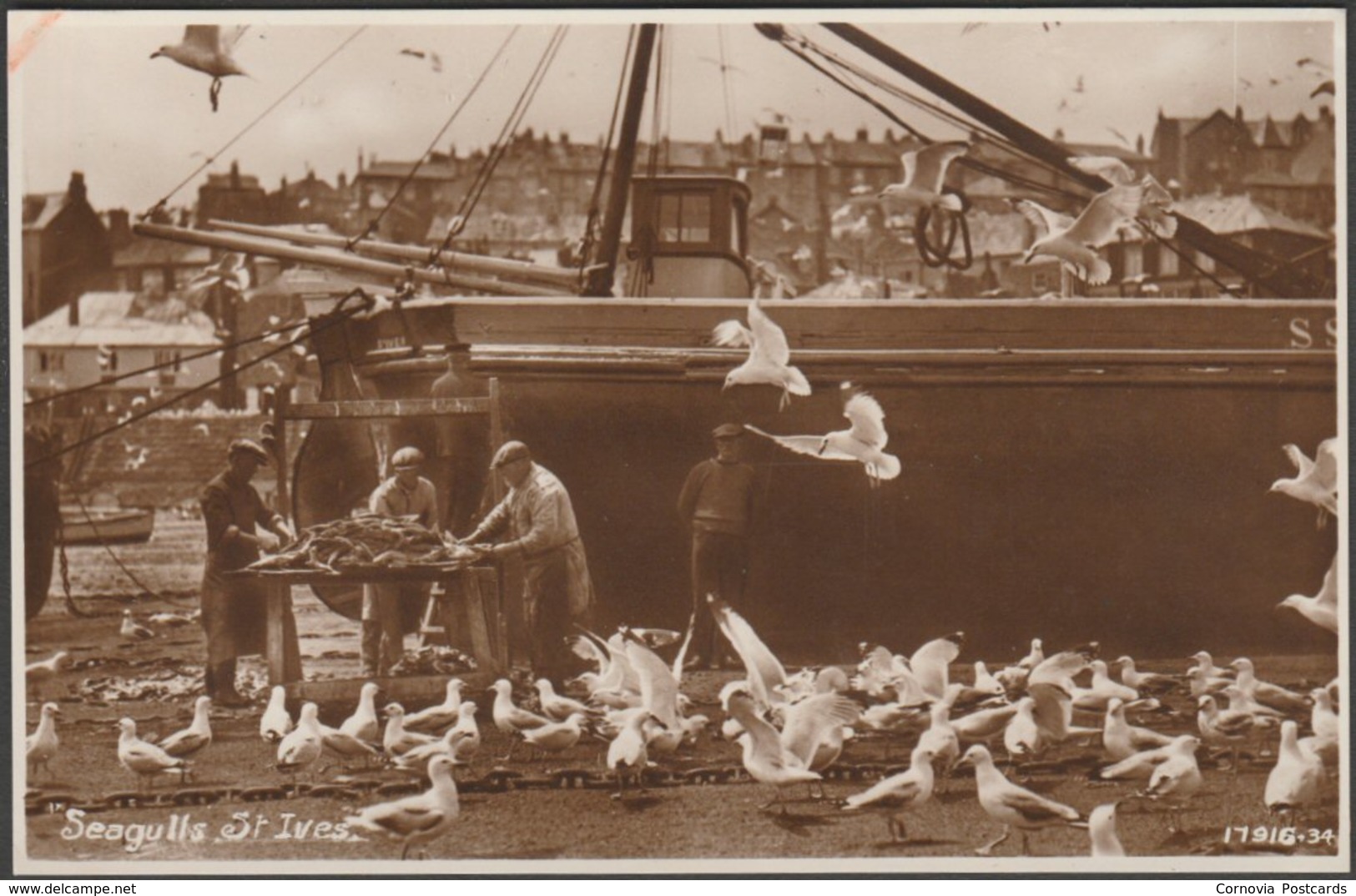 Seagulls, St Ives, Cornwall, C.1930s - Roach RP Postcard - St.Ives