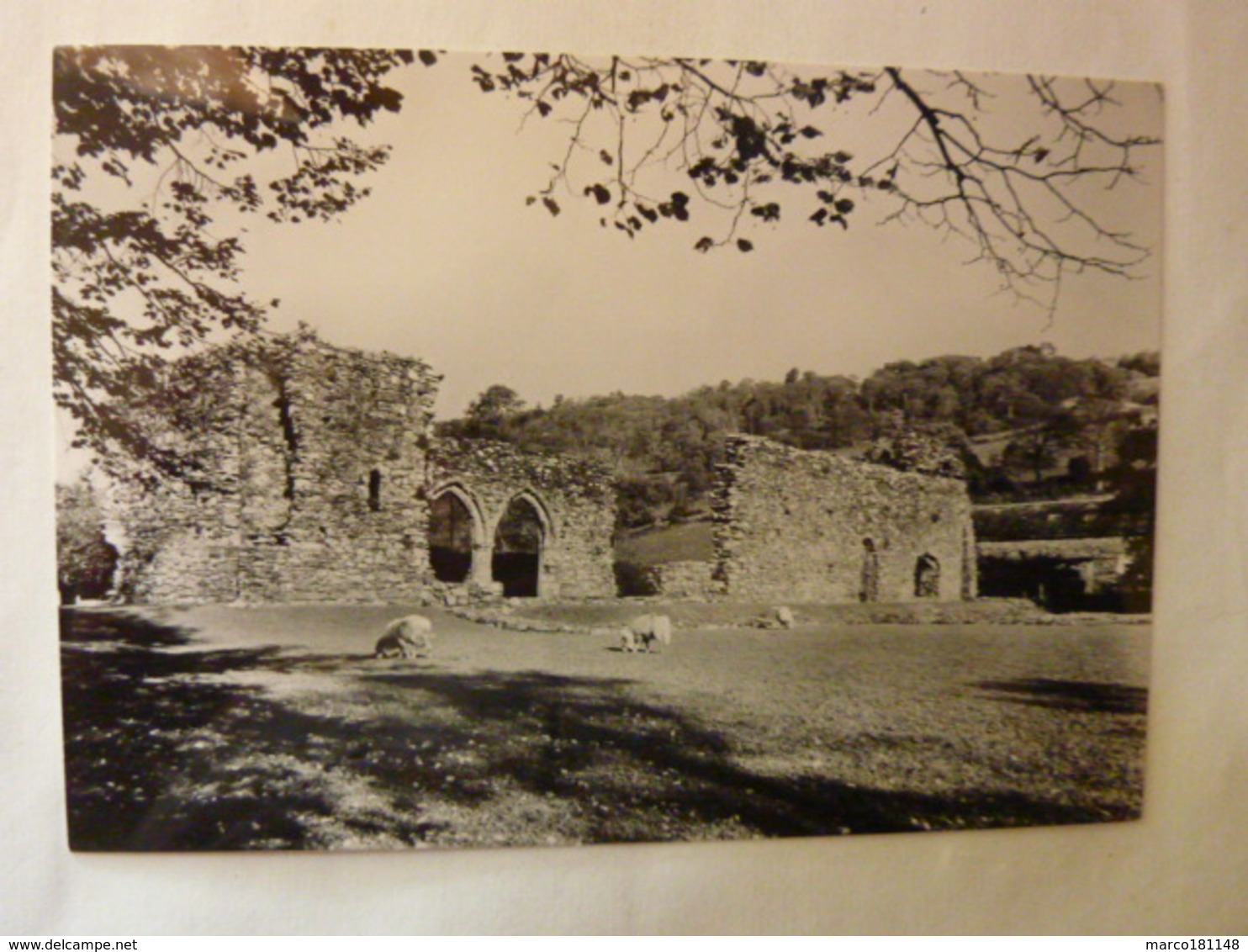 Cymmer Abbey, Merionethshire - From The South - Merionethshire