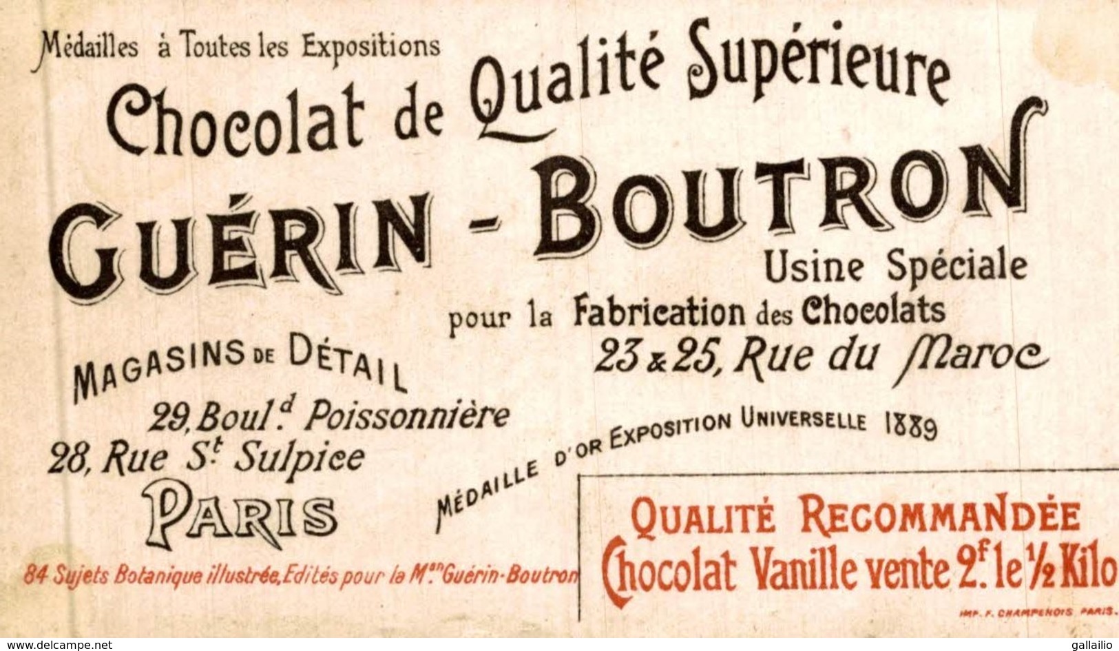 CHROMO CHOCOLAT GUERIN BOUTRON BOTANIQUE ILLUSTREE L'AVOINE - Guérin-Boutron