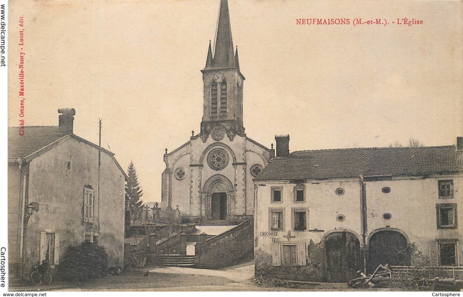 CPA 54 Meurthe Et Moselle Neufmaisons L'Eglise Chicorée - Autres & Non Classés