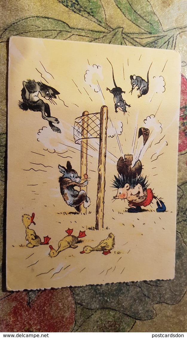 Sport. RUSSIA. ANIMAL VOLLEYBALL -  1956 RARE! Humour - Volleyball