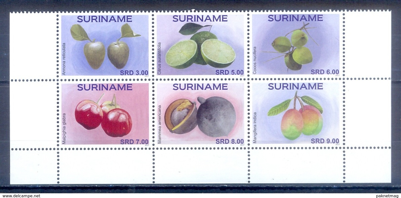 C142- Surinam Suriname 2017. Vruchten Fruits Citrus Cherry Mango Cocos. - Fruits