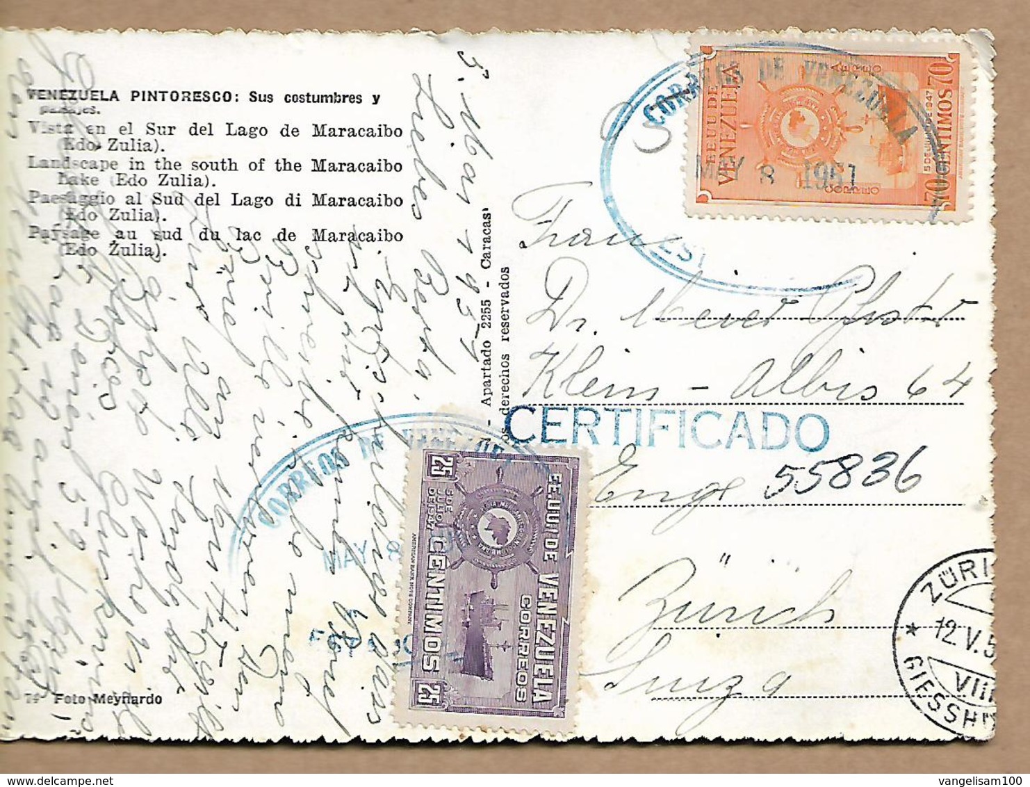 VENEZUELA 1951 PC Trees Sent To Suisse  2 Stamps With COVER USED - Venezuela