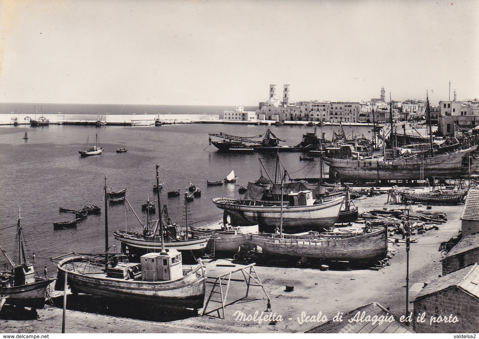 MOLFETTA - BARI - SCALO DI ALAGGIO E IL PORTO - CATTEDRALE - Molfetta