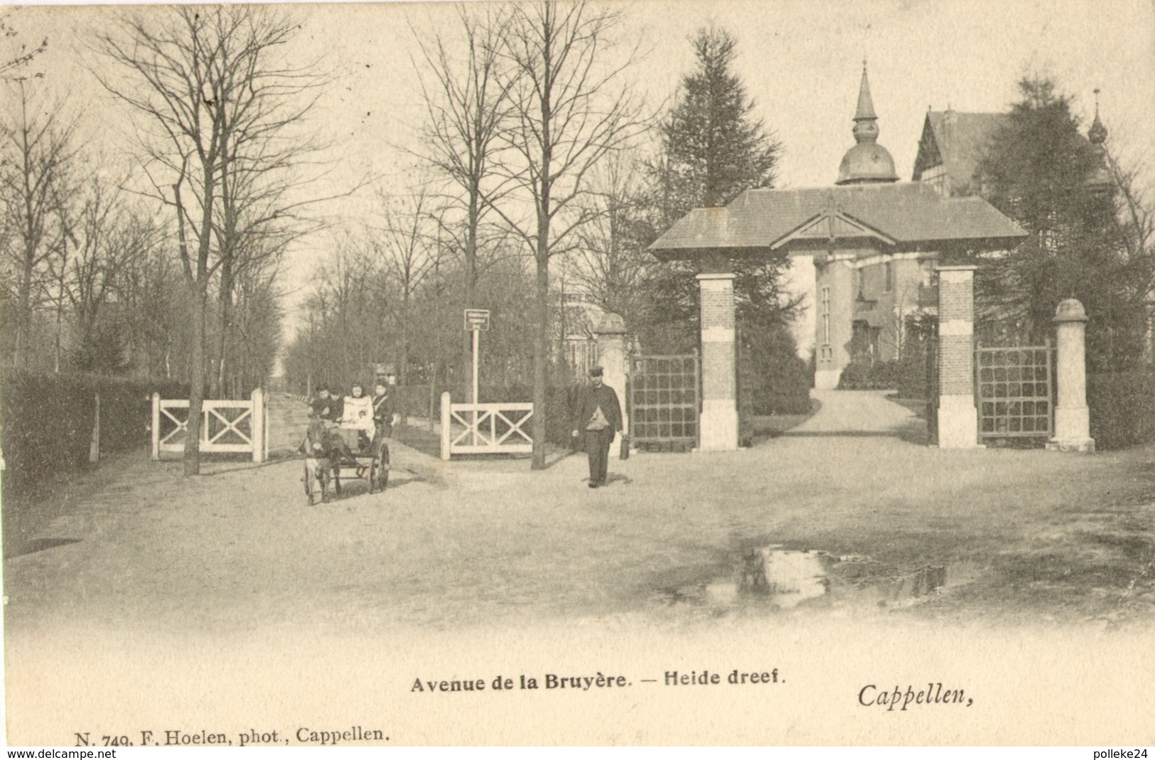 Hoogboom - Hortensia Hof -  H749  - 1903 - Kapellen