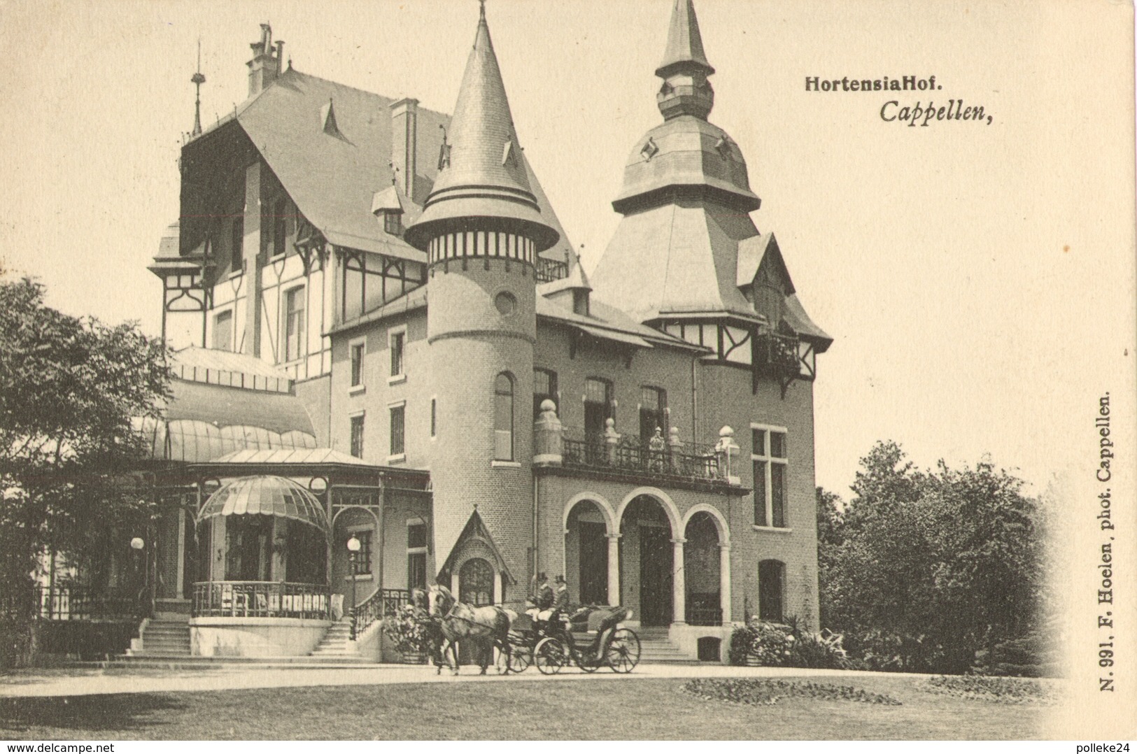 Hoogboom - Hortensia Hof -  H991  - 1905 - Kapellen