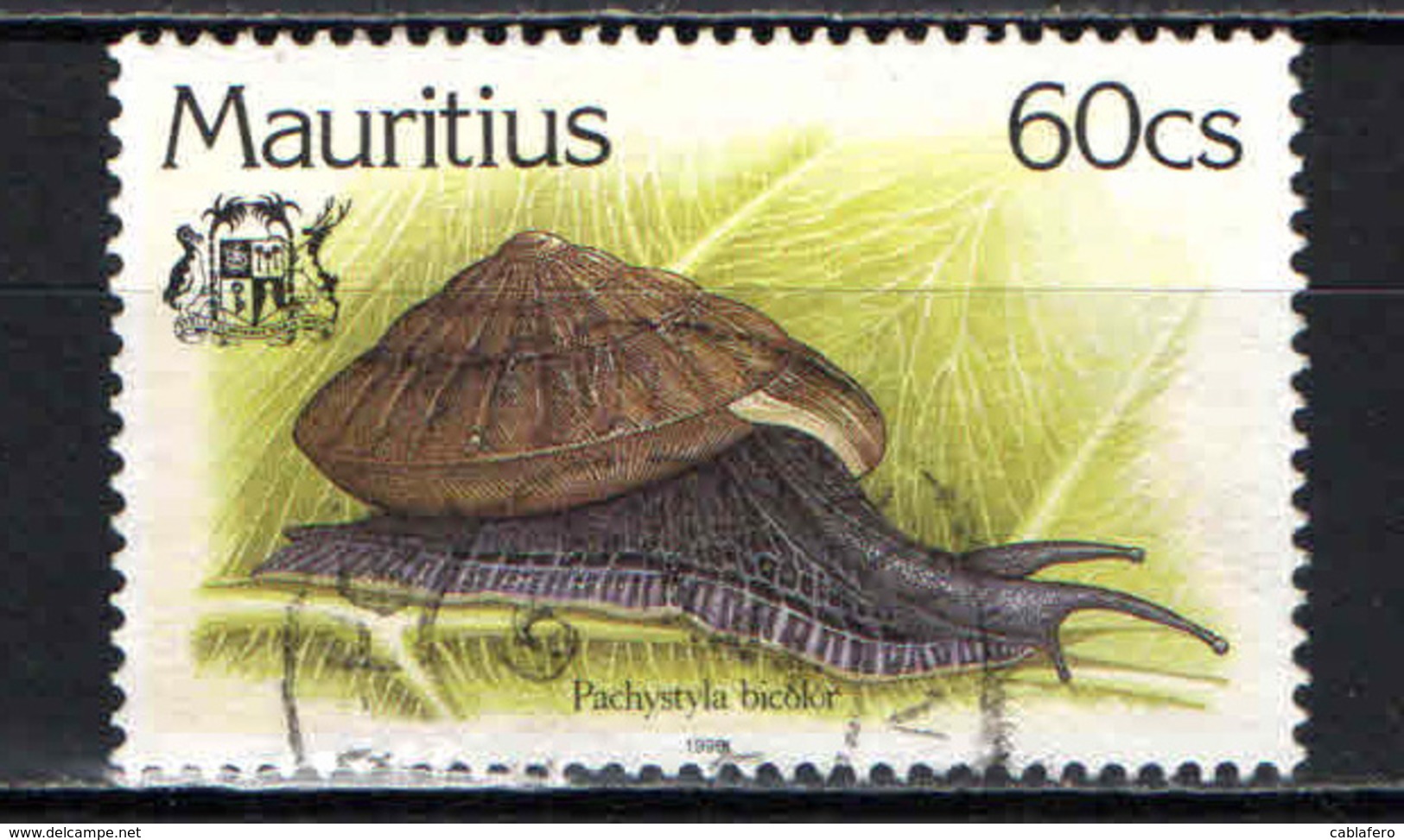 MAURITIUS - 1996 - Pachystyla Bicolor - USATO - Mauritius (1968-...)