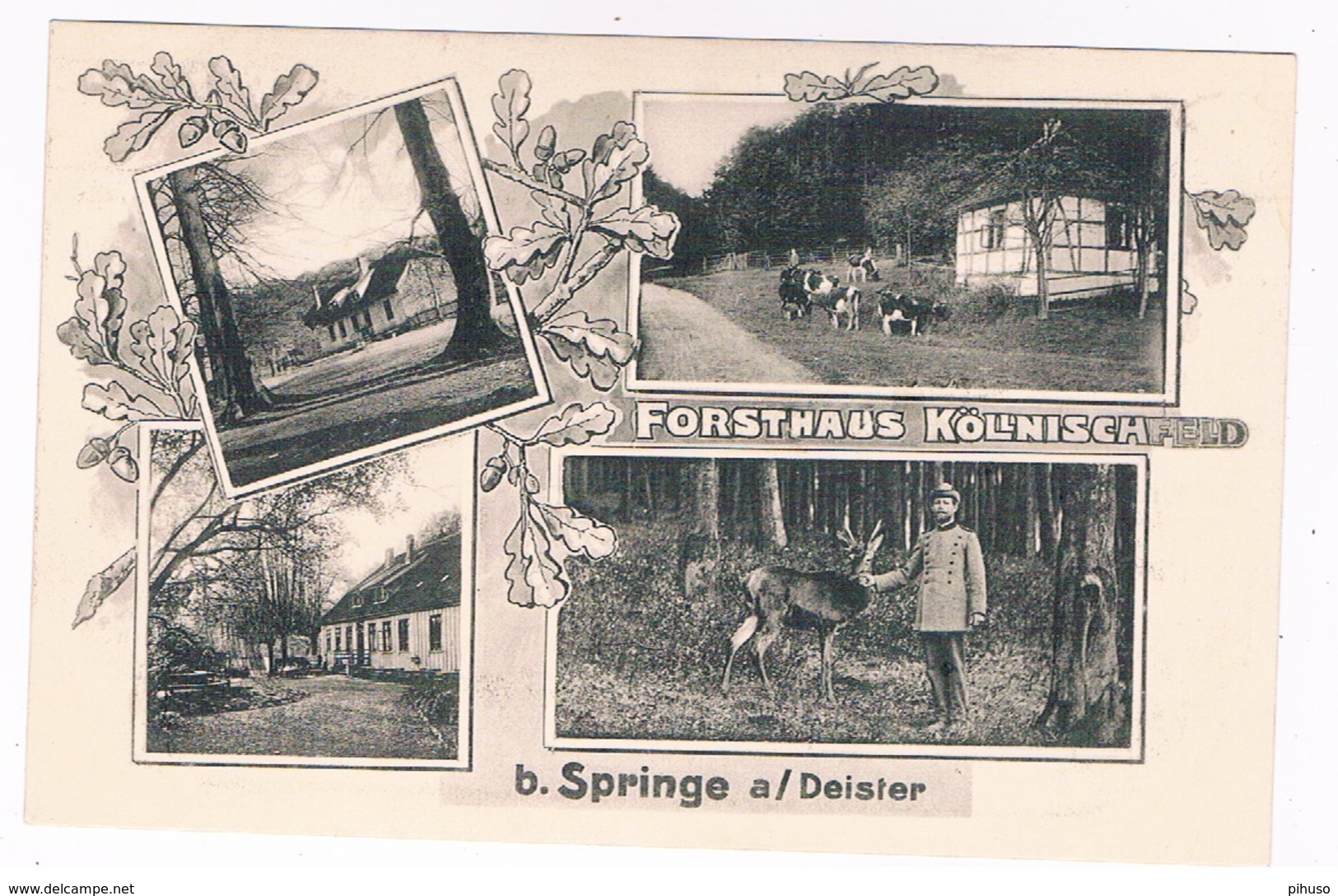 D-10126   SPRINGE A/ DEISTER : Forsthaus KöllnischFeld - Springe