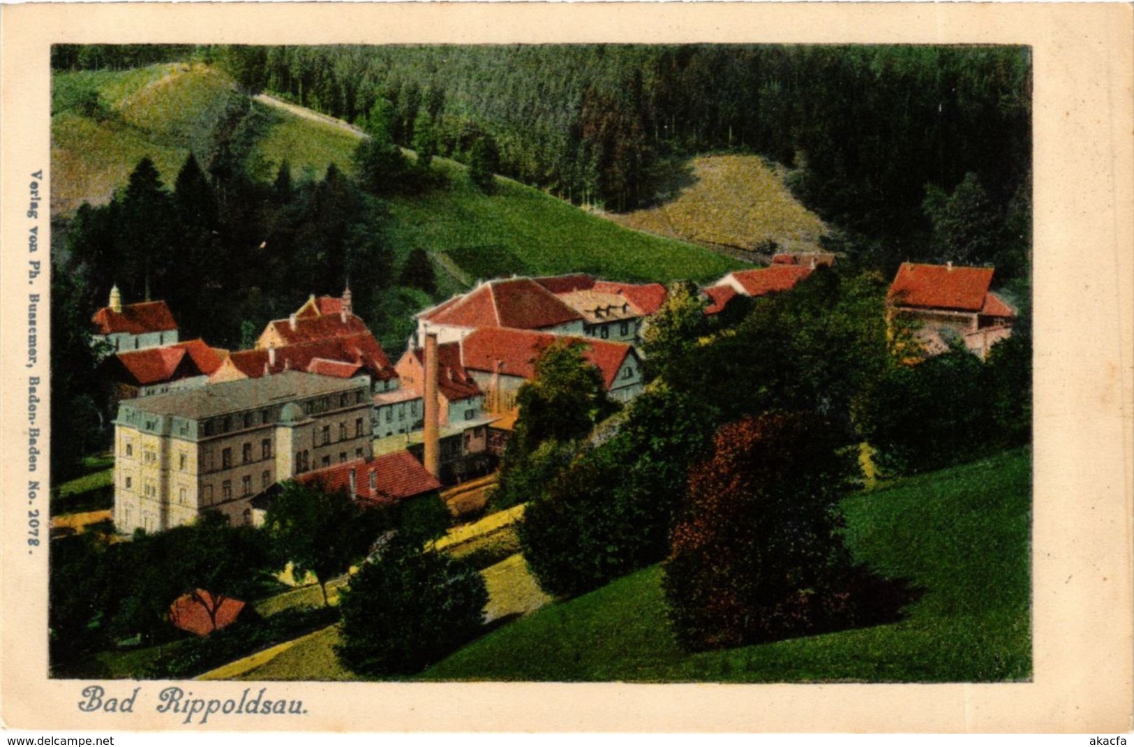 CPA AK Bad Rippoldsau GERMANY (936467) - Bad Saeckingen