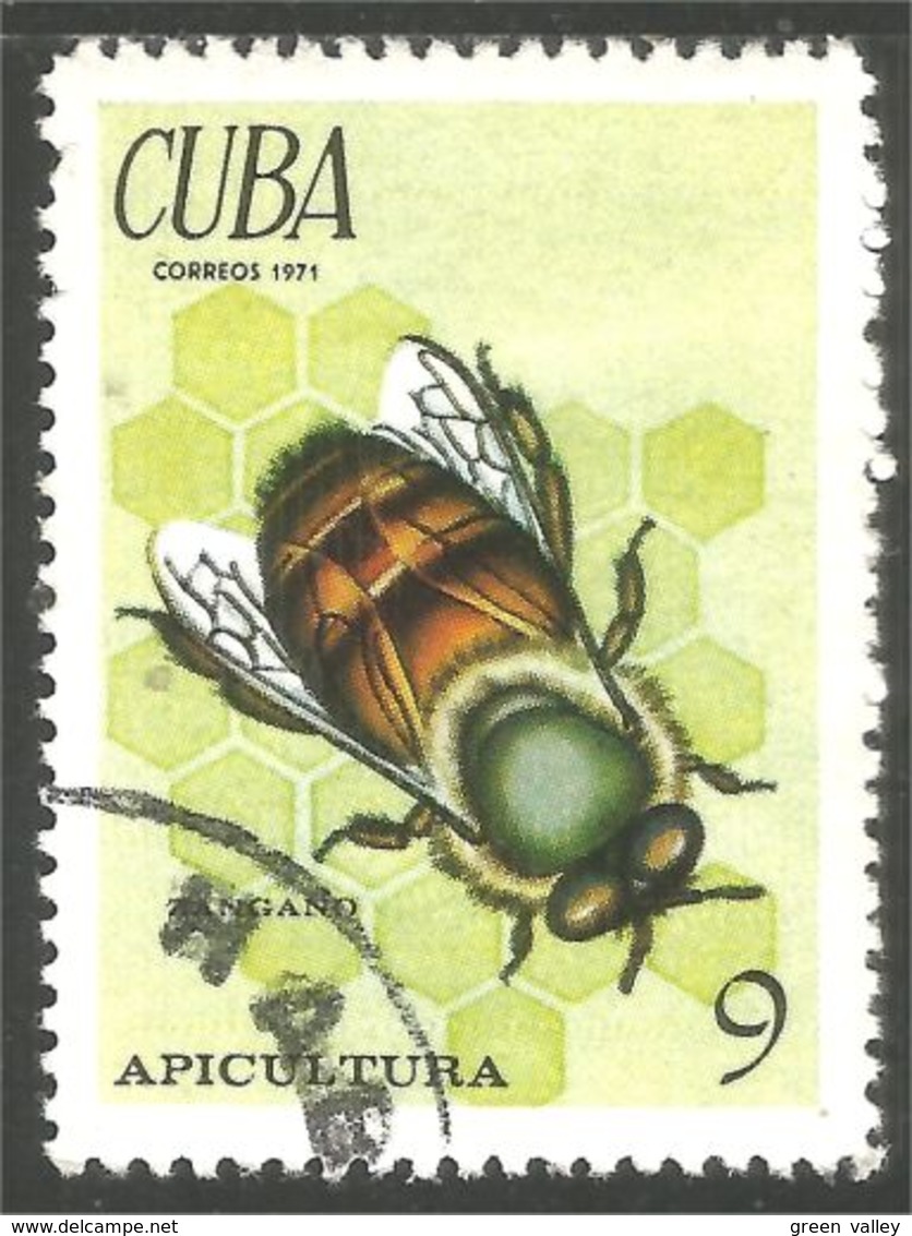 IN-36 Cuba Abeille Miel Honey Bee Honig Biene Abeja Ape Miele Abelha - Abeilles