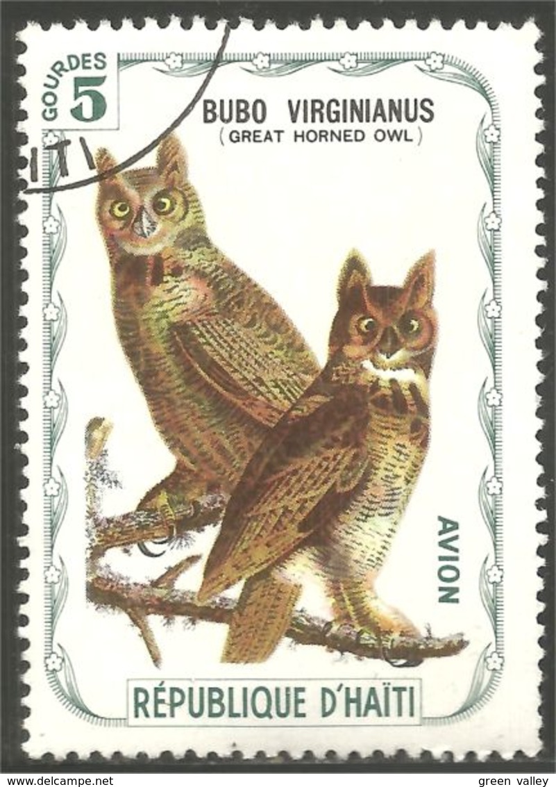 OI-3 Haiti Hibou Chouette Owl Eule Gufo Uil Buho - Hiboux & Chouettes