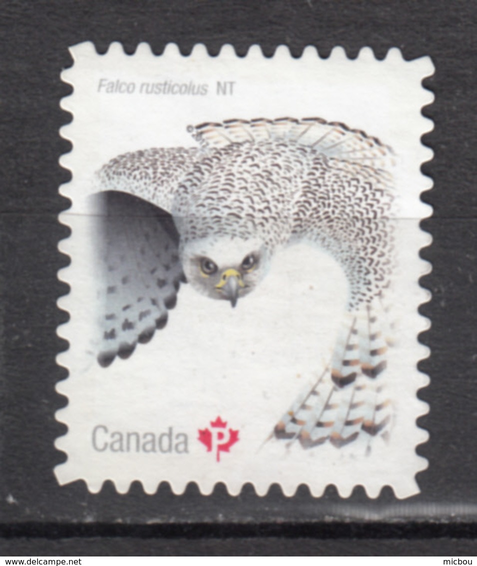 Canada, MNG, Hibou, Owl, Rapace, Oiseau, Bird - Búhos, Lechuza