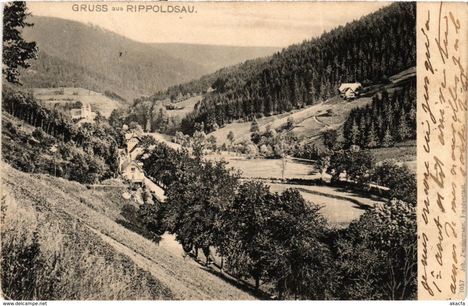 CPA AK Gruss Aus Rippoldsau GERMANY (936486) - Bad Saeckingen