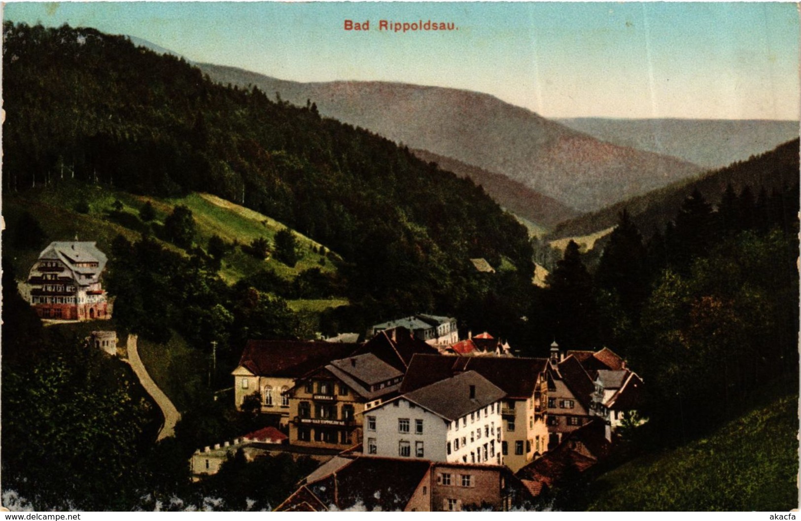 CPA AK Bad Rippoldsau GERMANY (936492) - Bad Saeckingen