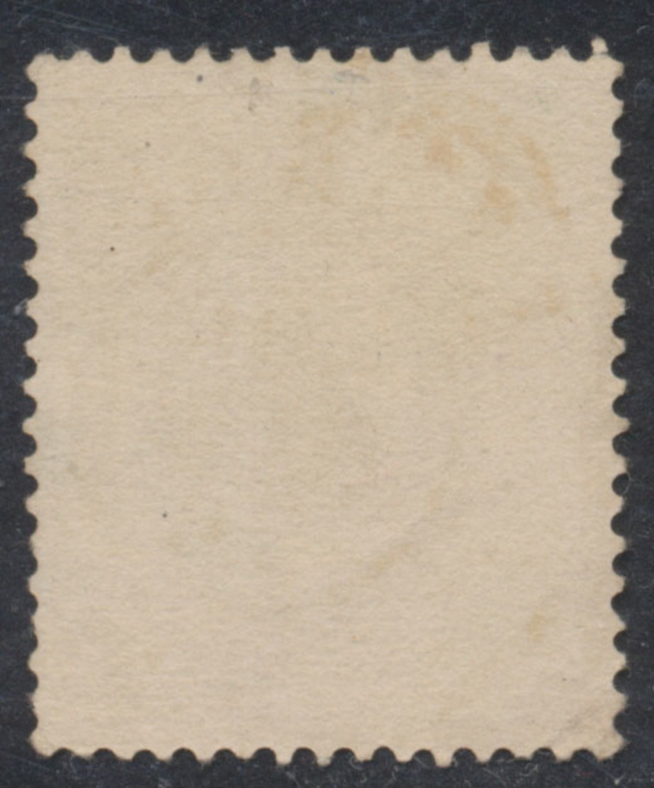 émission 1869 - N°30 Obl Double Cercle "Lierre" (1876). TB - 1869-1883 Leopold II