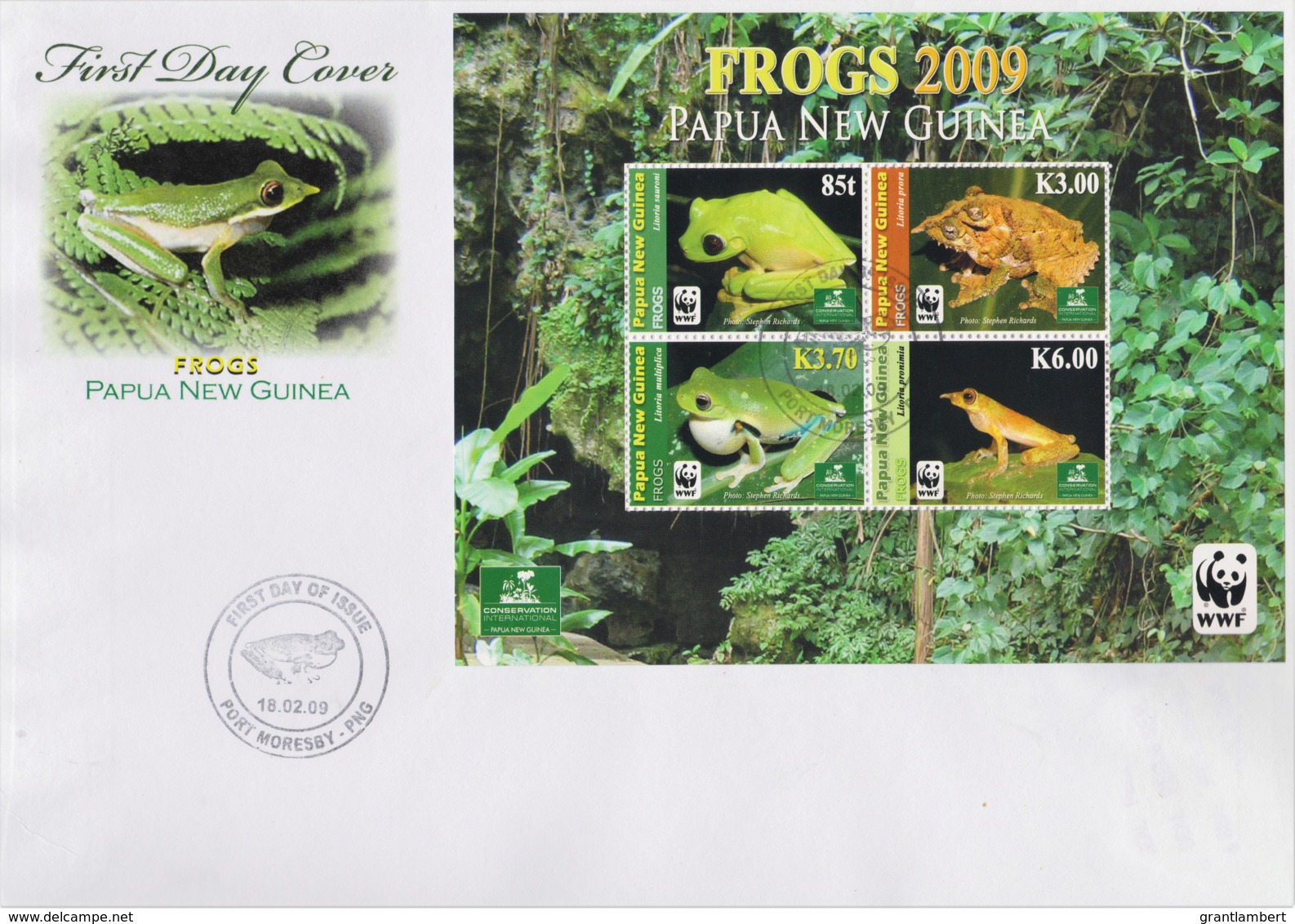 Papua New Guinea 2009 Frogs Minisheet FDC  WWF - Papua New Guinea