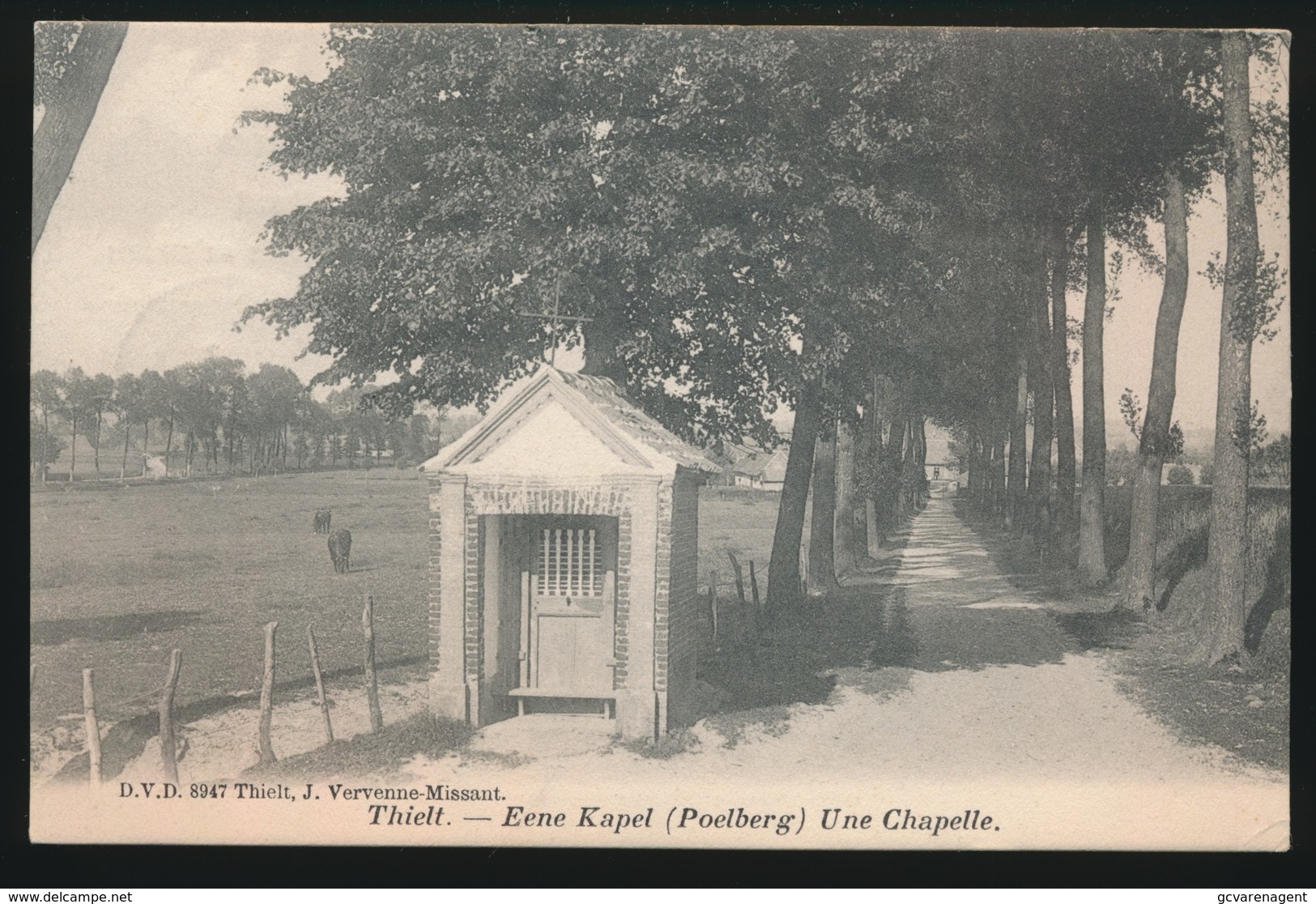 TIELT  EENE KAPEL ( POELBERG ) - Tielt