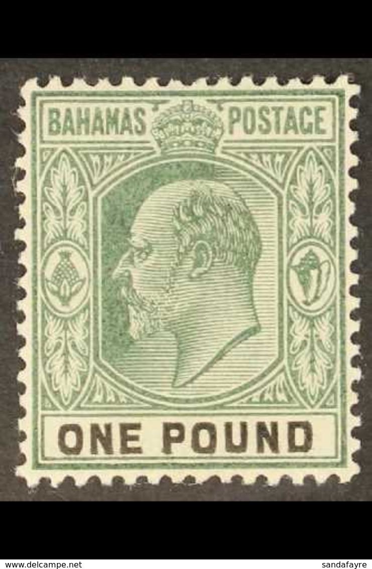 1902  KEVII £1 Green & Black, SG 70, Very Fine, Lightly Hinged Mint For More Images, Please Visit Http://www.sandafayre. - Other & Unclassified