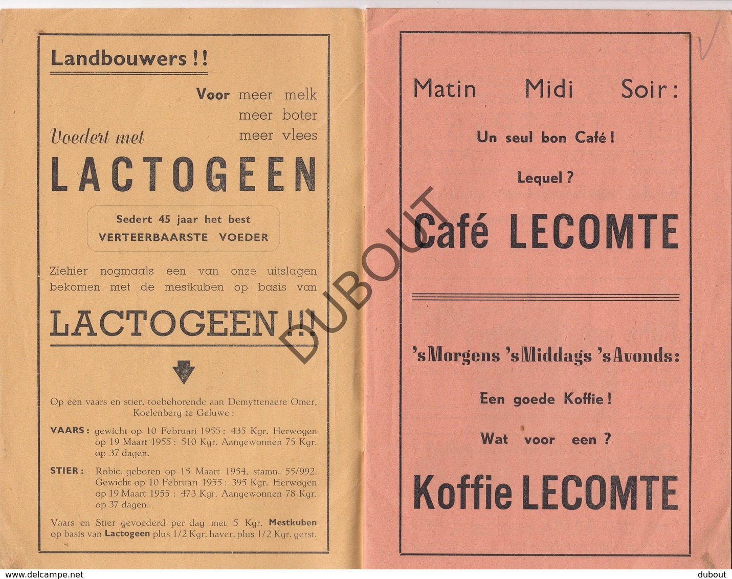 VOORMEZELE/Ieper Heilig Bloed Processie 1955 Met Programma En Veel Reclame (R554) - Antique