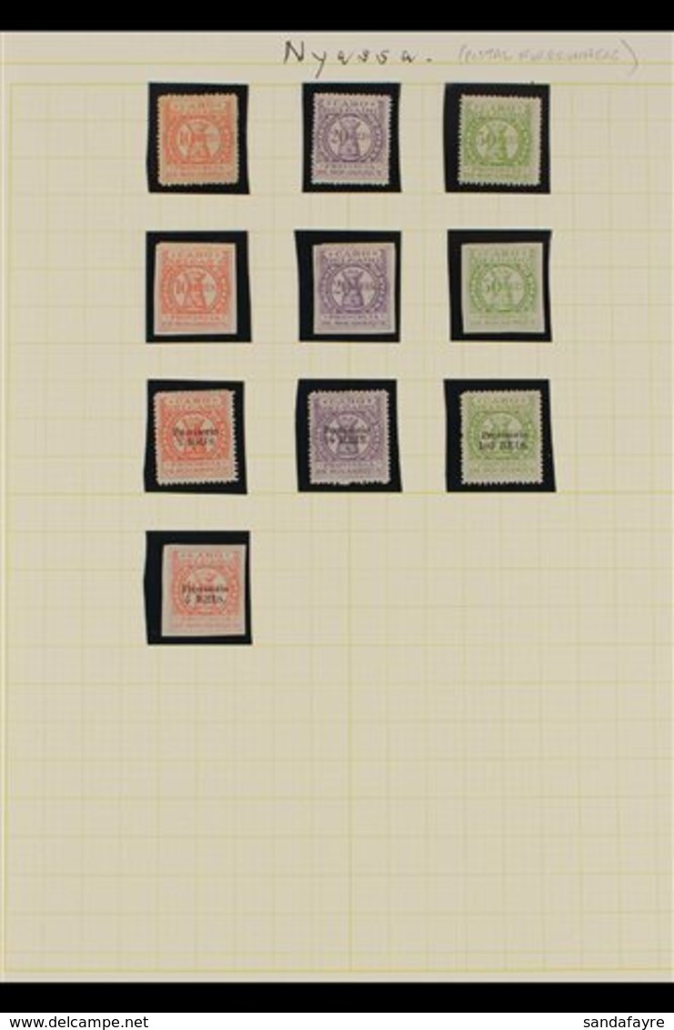 CABO DELGADO LOCALS (NYASSA COMPANY FORERUNNERS)  1895 Unissued Mint (a Couple No Gum) Selection Comprising 10r, 20r And - Other & Unclassified