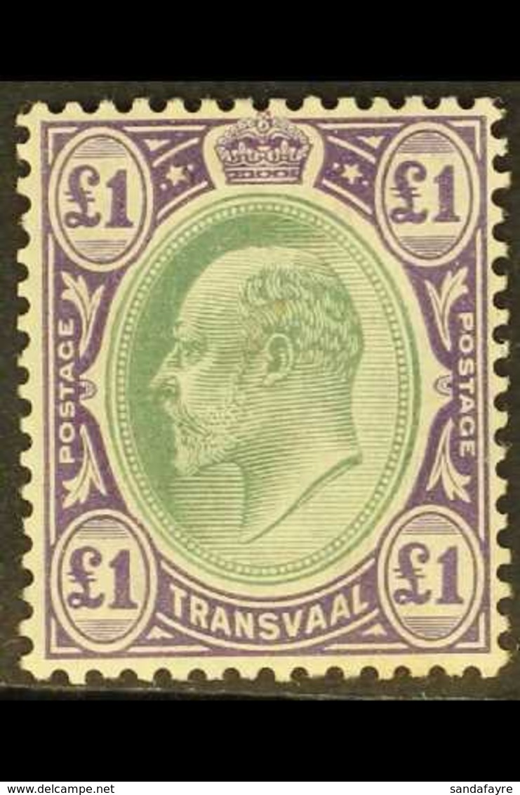 TRANSVAAL  1904-09 £1 Green & Violet, Wmk Mult Crown CA, Chalk-surfaced Paper, SG 272a, Very Fine Mint. For More Images, - Unclassified