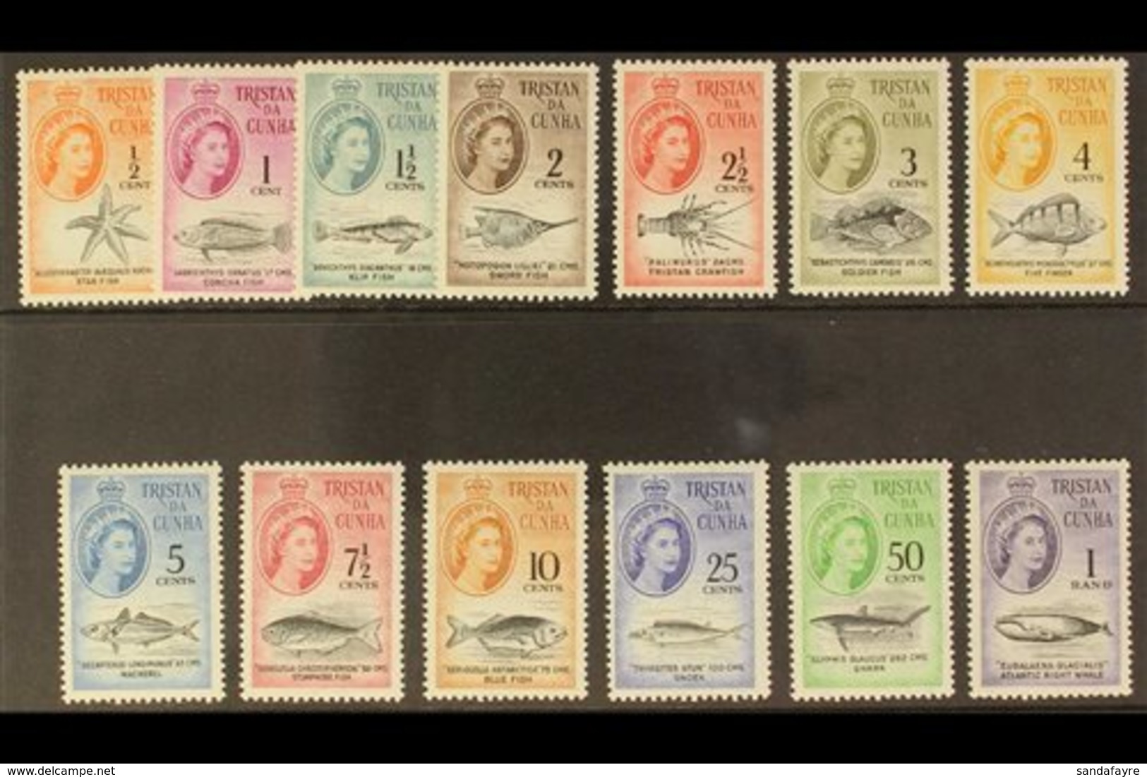 1961  Marine Life (South African Currency) Complete Definitive Set, SG 42/54, Never Hinged Mint. (13 Stamps) For More Im - Tristan Da Cunha