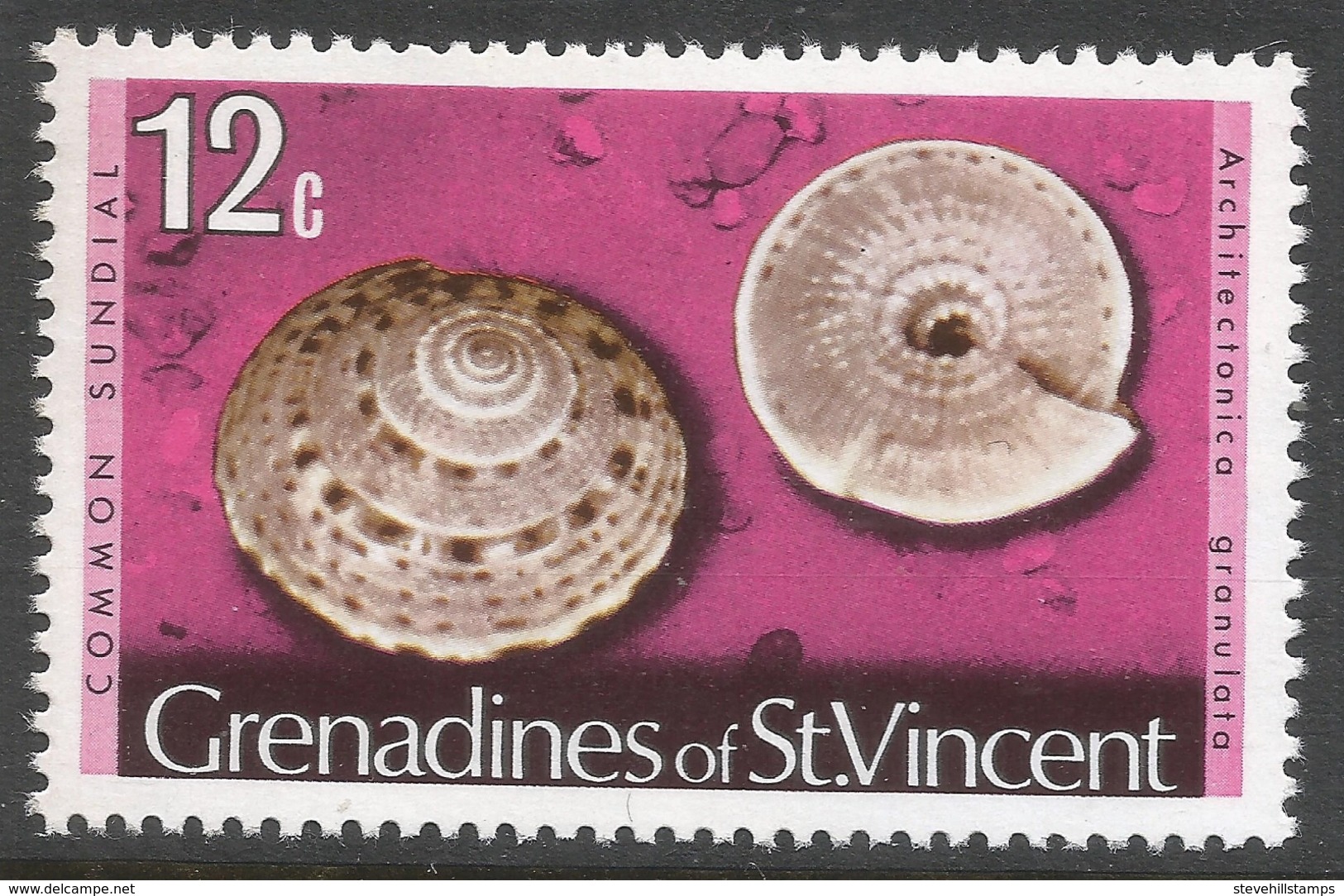 Grenadines Of St Vincent. 1974 Shells And Molluscs. 12c MH. SG 43A - St.Vincent & Grenadines