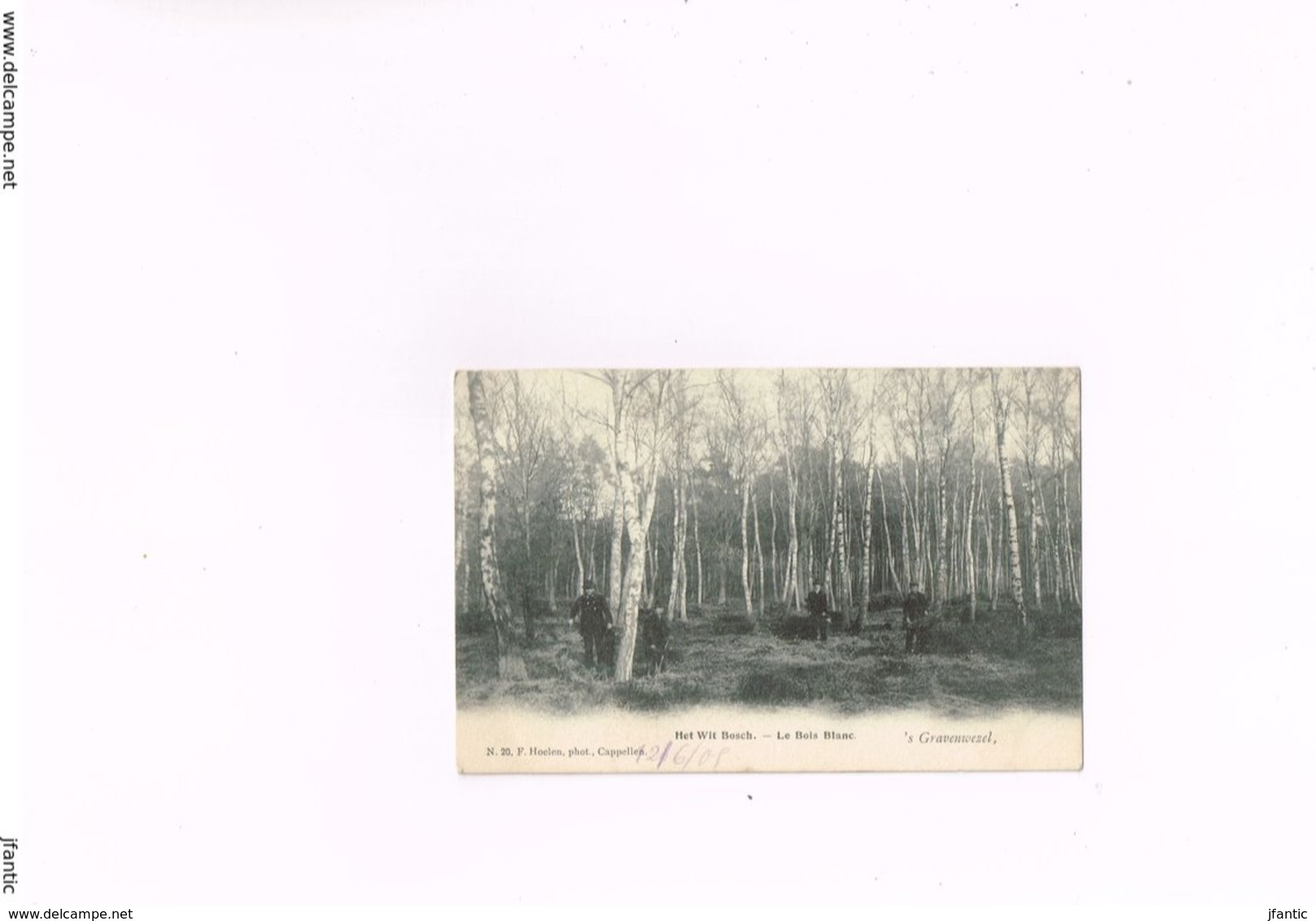 S'Gravenwezel Het Wit Bosch Le Bois Blanc F.Hoelen Phot Cappellen N° 20,carte Postale Ancienne De 1905. - Schilde