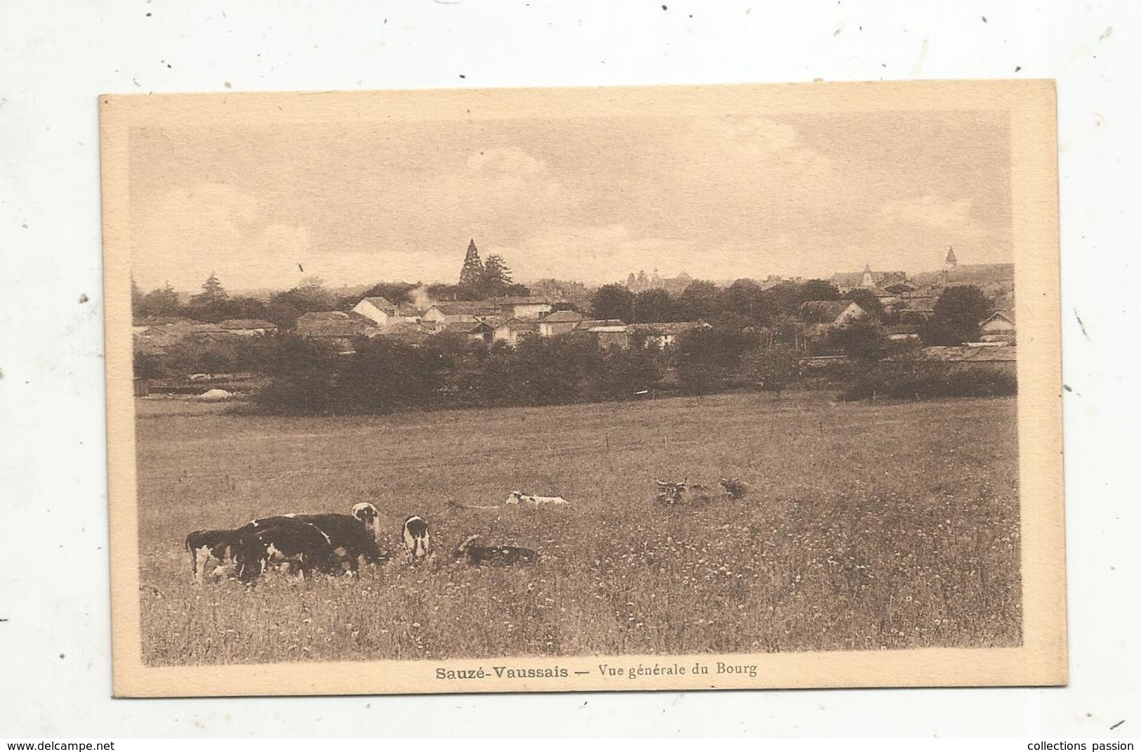 Cp, 79 ,  SAUZE-VAUSSAIS , Vue Générale Du Bourg , Vierge , Ed. Rousseau - Sauze Vaussais