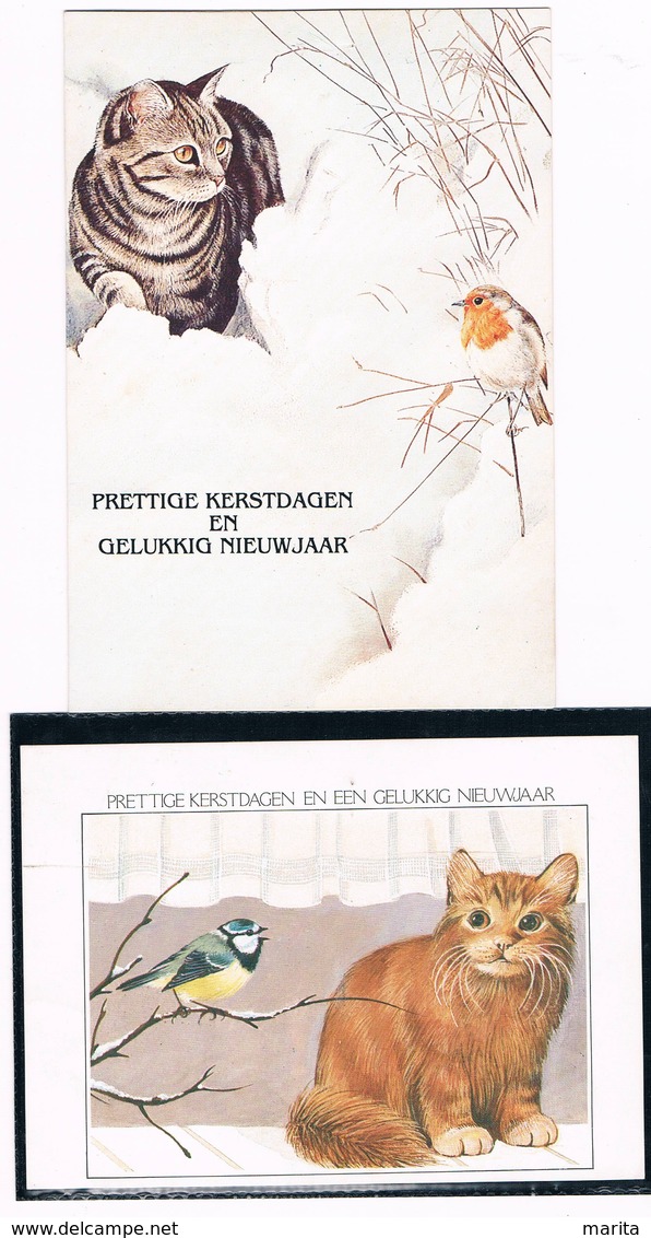 2 Cartes Chat Et Oiseau - Cat Bird -katze - Poes En Vogel - Chats