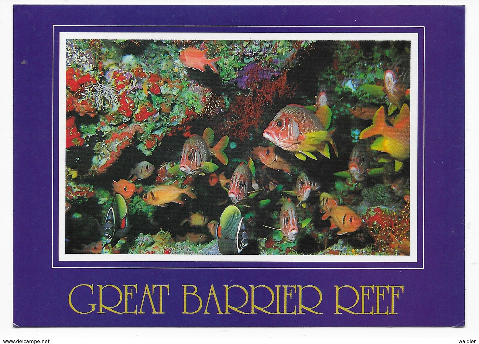 THE GREAT BARRIER RIFF  1993 - Great Barrier Reef