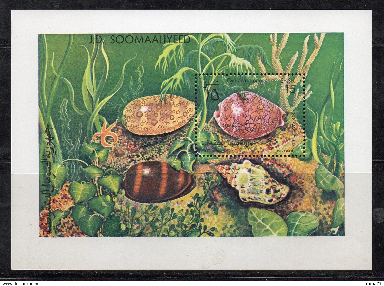 ETP419  - SOMALIA 1983 , Souvenir Sheet BF N. 13 ***  Conchiglie Shell Coquillage - Somalia (1960-...)