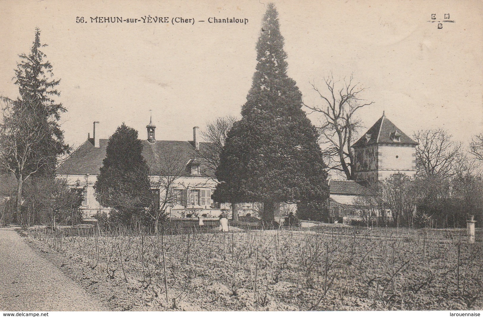 18 - MEHUN SUR YEVRE - Chantaloup - Mehun-sur-Yèvre