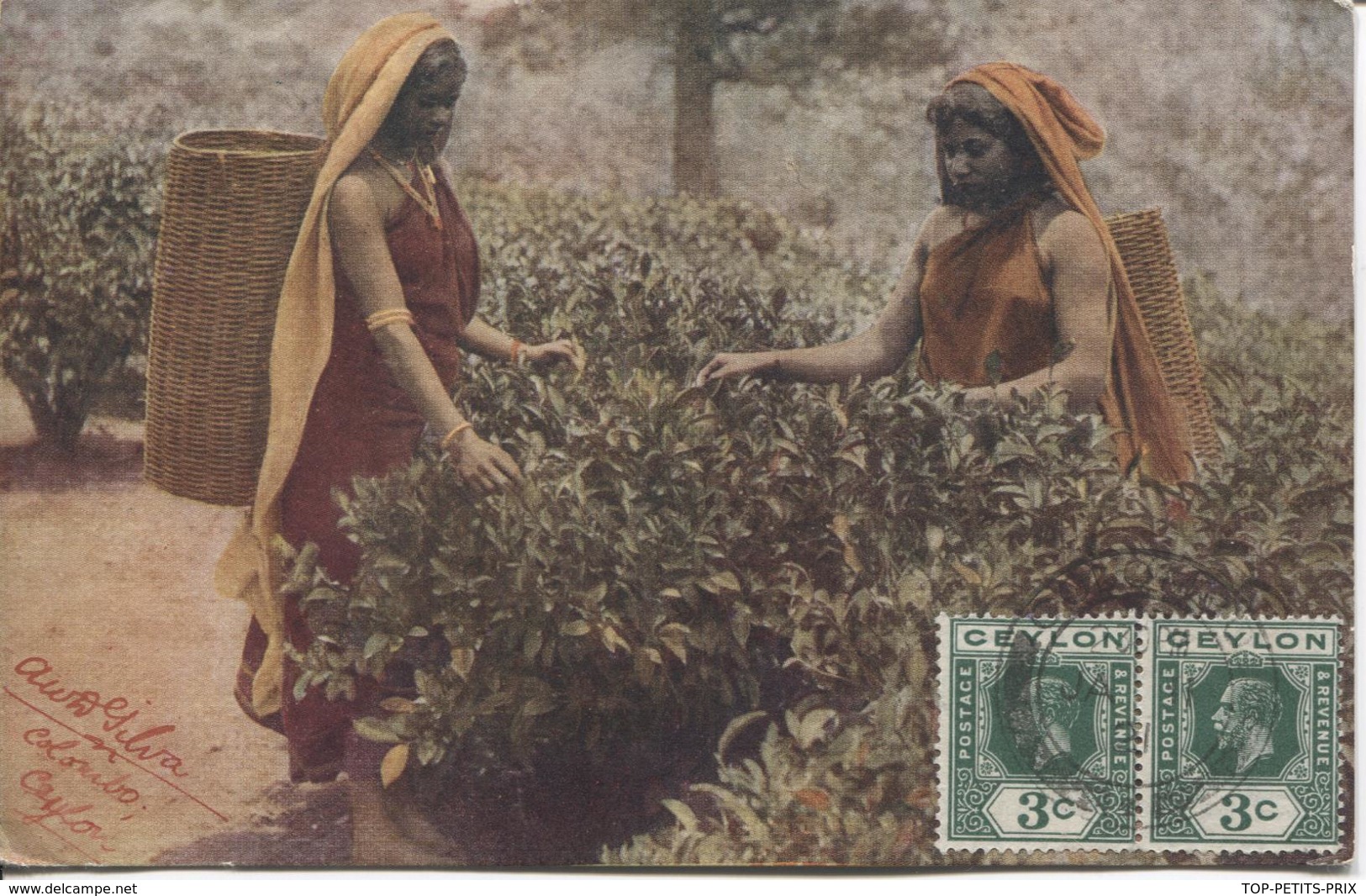 REF50/ Ceylon PC Tea Picking C.Colombo 1921 > Czechoslovaquia - Ceylan (...-1947)