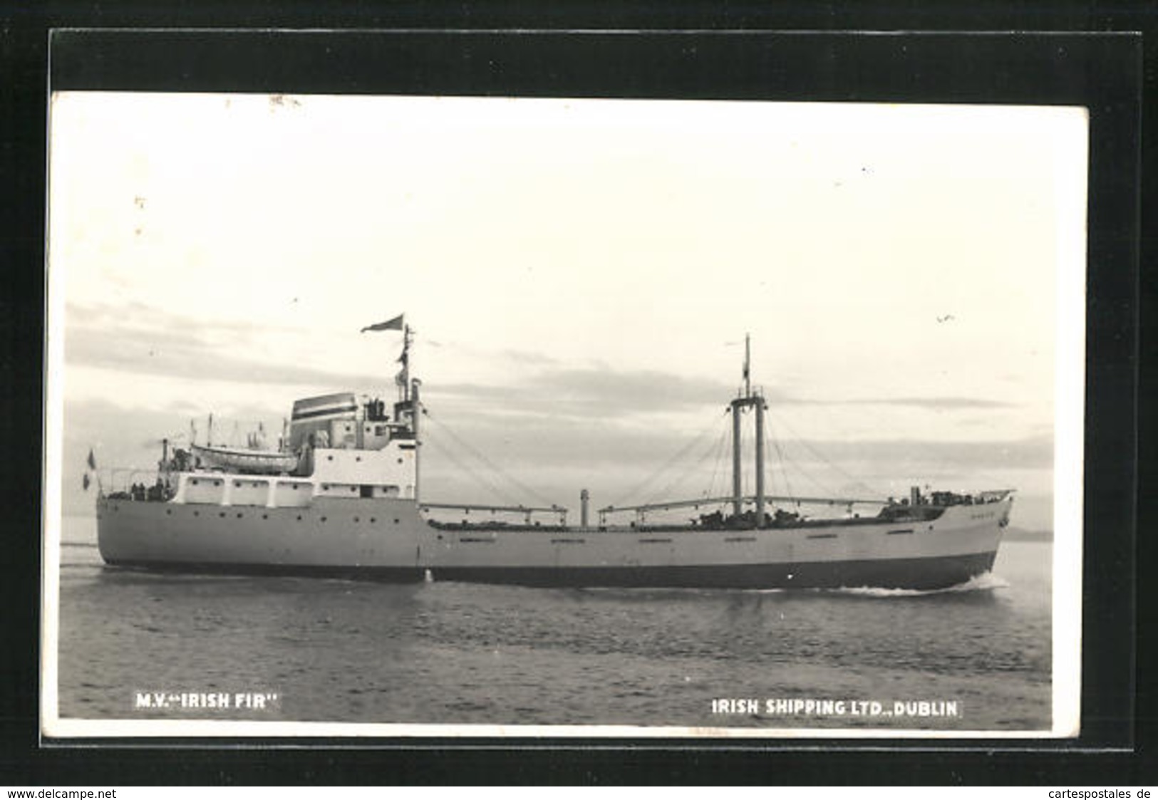 AK M.V. Irish Fir, Irish Shipping Ltd., Handelsschiff - Koopvaardij