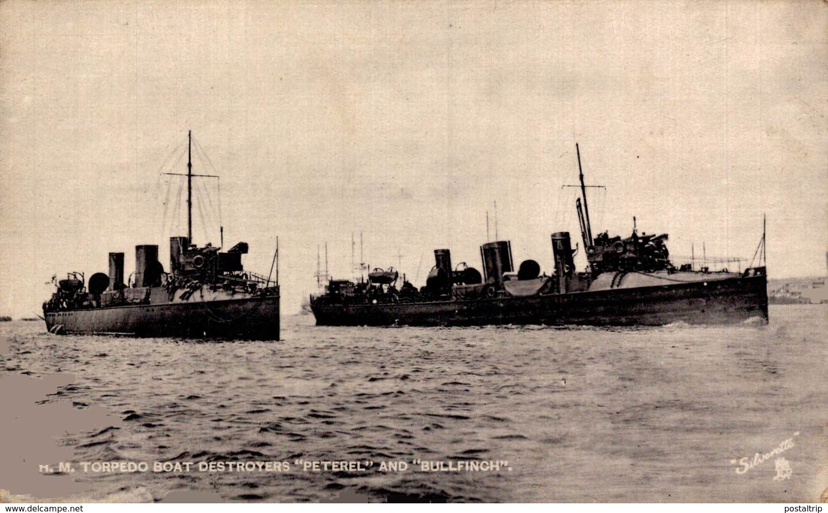 Torpedo Boat Destroyers "Peterel" And Bullfinch - Pesca