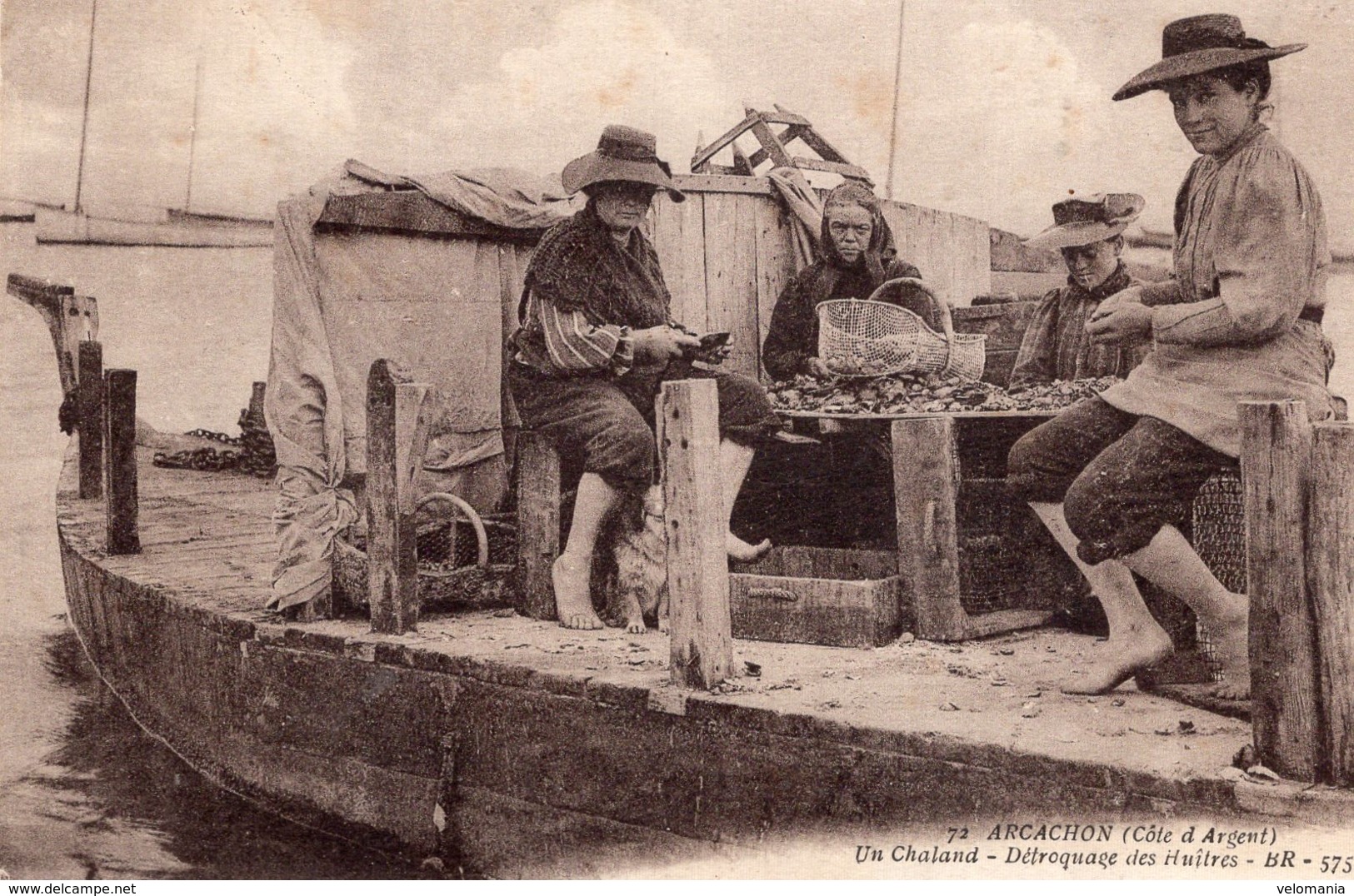 4805 Cpa Arcachon - Un Chalaud, Détroquage Des Huîtres - Arcachon