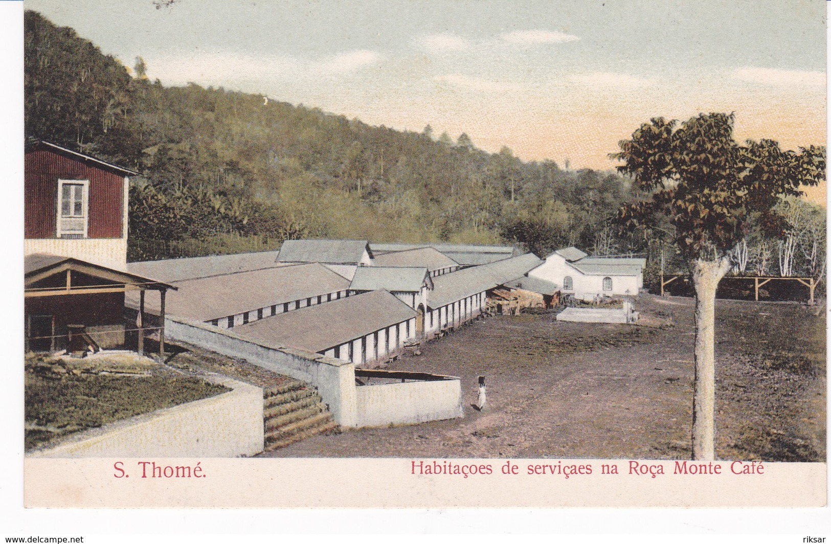 SAO TOME(ARBRE) CAFE - Sao Tome And Principe