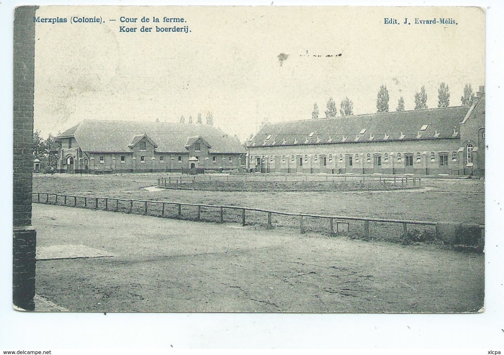 Merksplas - Merxplas Colonie - Koer Der Boerderij - Merksplas