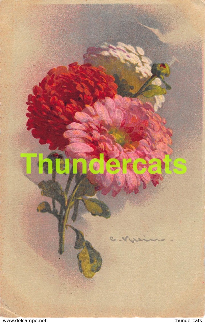 CPA ILLUSTRATEUR CATHARINA KLEIN CATHERINE ARTIST SIGNED FLEUR FLOWER - Klein, Catharina