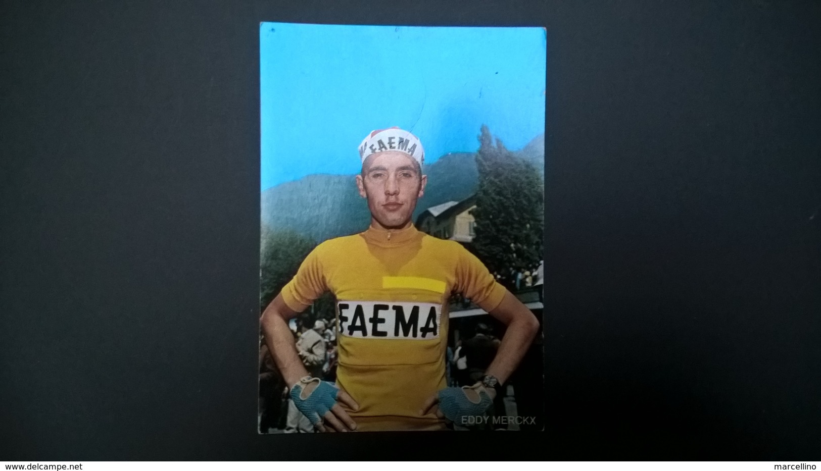 7 Cartes Coureurs Cyclistes  - Wielrennen  Eddy Merckx - Herman Van Springel - Roger De Vlaeminck - Wielrennen