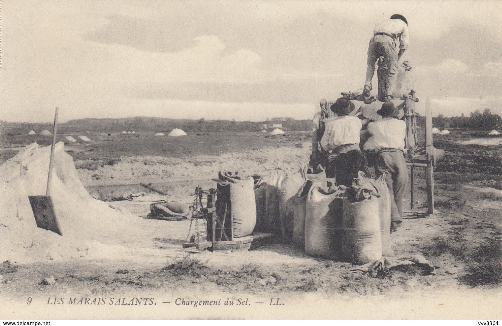 LE CROISIC: Les Marais Salants - Chargement Du Sel - Le Croisic