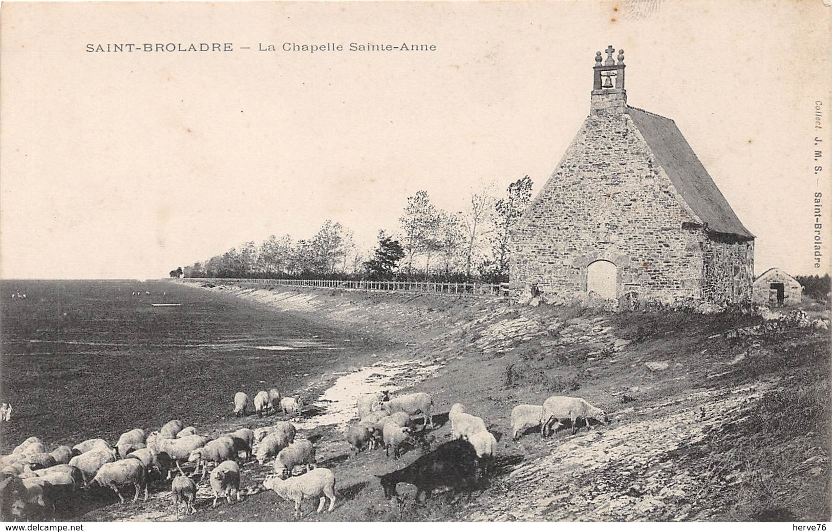 SAINT BROLADRE - Chapelle Sainte-Anne - Moutons - Autres & Non Classés