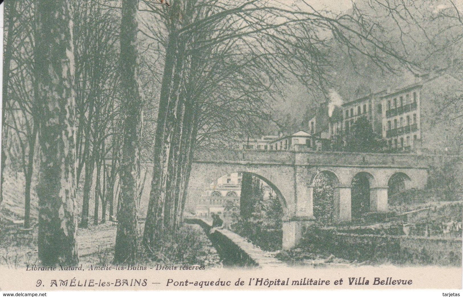 9 POSTAL DE AMELIE LES BAINS DEL PONT-AQUEDUCT DE L'HOPITAL MILITAIRE ET VILLA BELLEVUE  - FRANCIA-FRANCE - Otros & Sin Clasificación