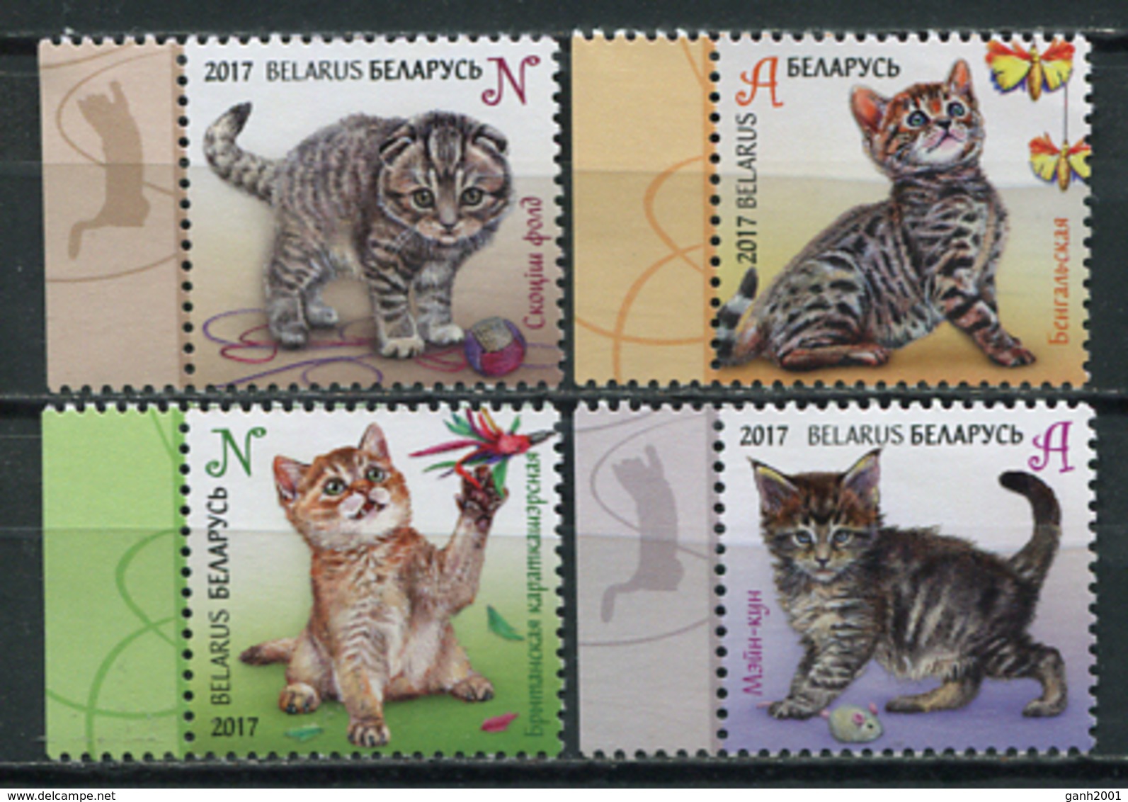 Belarus 2017 Bielorrusia / Cats MNH Gatos Katzen Chats / Cu5912  36-31 - Gatos Domésticos