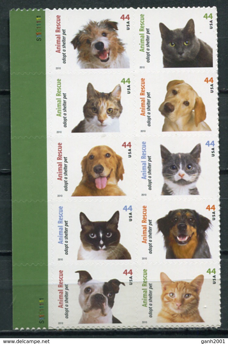 USA 2010 Estados Unidos / Pets Cats Dogs MNH Perros Gatos Katzen Hunde / Cu5622  1-42 - Hunde