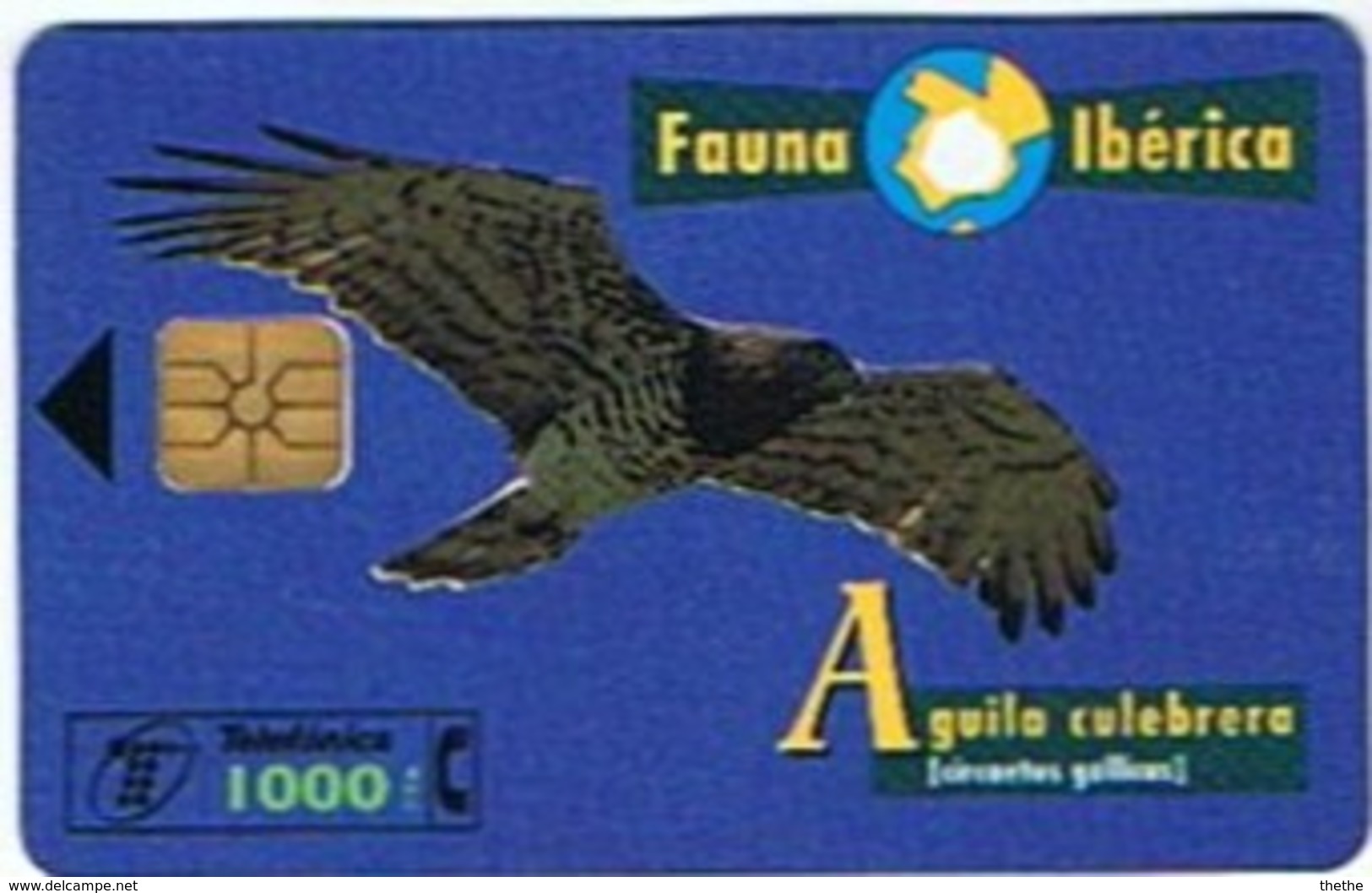 Espagne - Aguila Culebrera - Circaète Jean-le-Blanc (Circaetus Gallicus)   1000 Pta - 6.01€ - Adler & Greifvögel