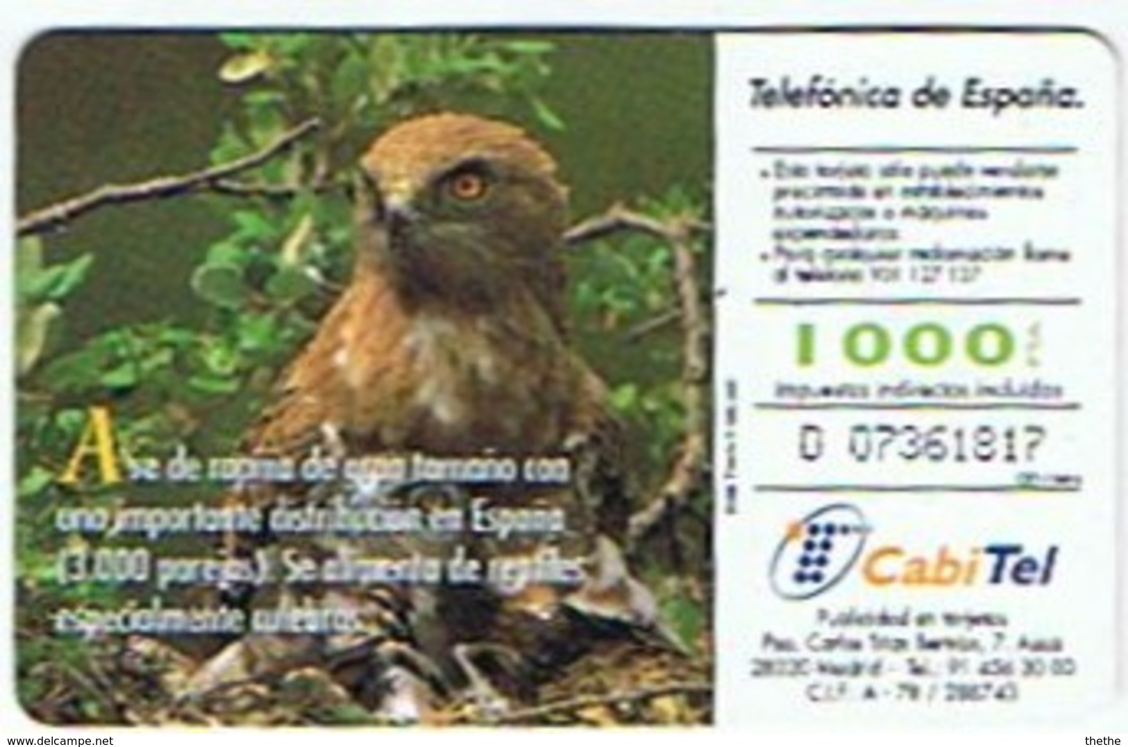 Espagne - Aguila Culebrera - Circaète Jean-le-Blanc (Circaetus Gallicus)   1000 Pta - 6.01€ - Águilas & Aves De Presa